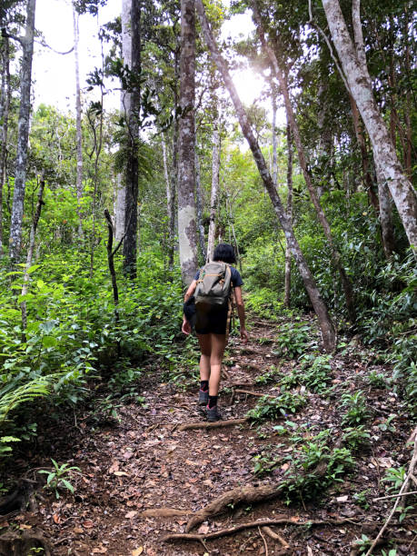istock Exploring the wild forest of Mauritius 1125951366