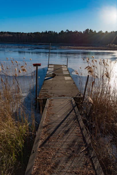 istock wooden jetty with reed on a sunny winter day 1125951573