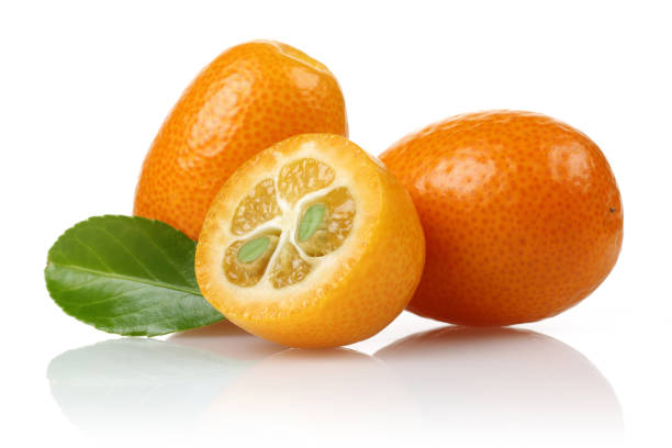istock Fresh kumquats and leaf on white background 1125951844