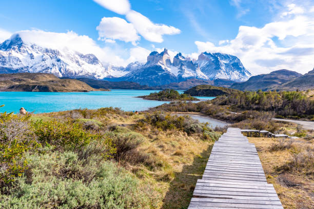 istock Torres del Paine National Park, Chile 1125954432