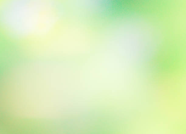 Photo of Bokeh of nature background .Abstract green defocused background - Nature