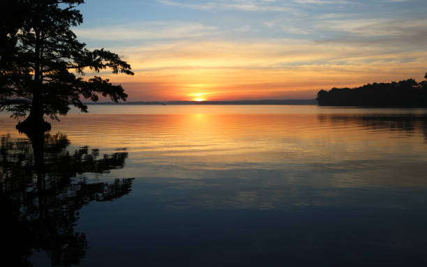 istock Sunrise on Reelfoot Lake 1125957915