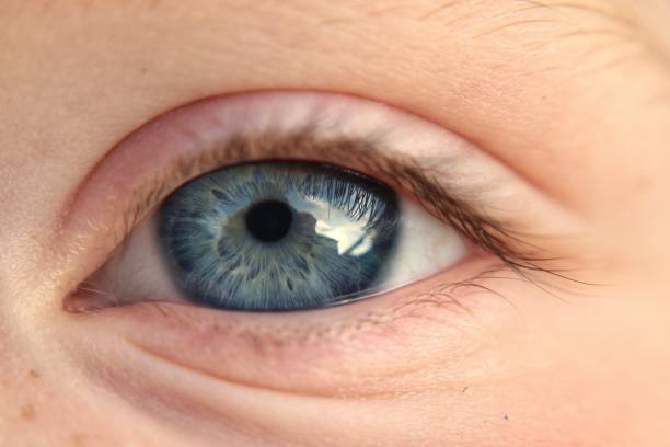 istock Young Child's Blue Eye Outdoors 1125958899