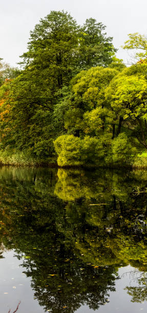 Nature near Peterhof, ponds and forest.