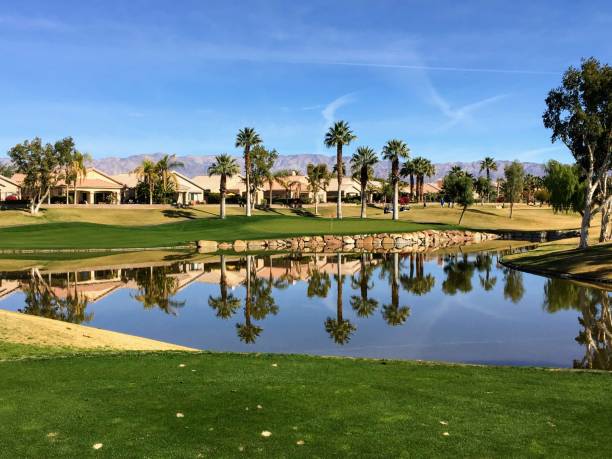 A beautiful view from the tee box of a difficult par 3 that requires a shot over the water onto an island green.  Palm trees are behind the green and reflect on the water.  Great golf in Palm Springs. A beautiful view from the tee box of a difficult par 3 that requires a shot over the water onto an island green.  Palm trees are behind the green and reflect on the water.  Great golf in Palm Springs. palm desert pool stock pictures, royalty-free photos & images