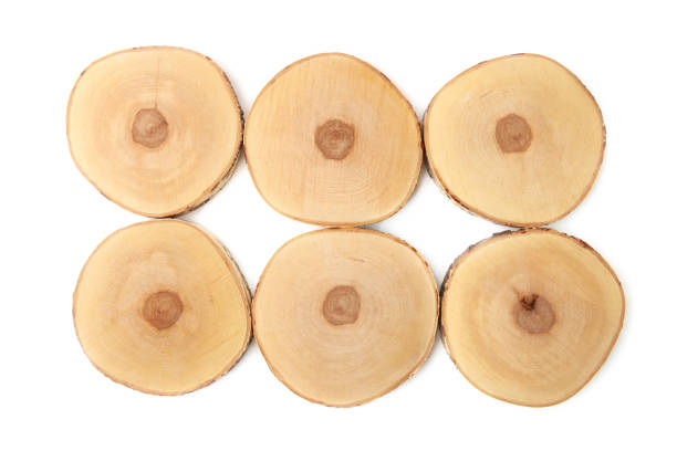 istock Serving wood trays isolated on white background. 1125961348