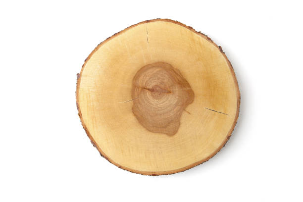 istock Serving wood tray isolated on white background. 1125961448