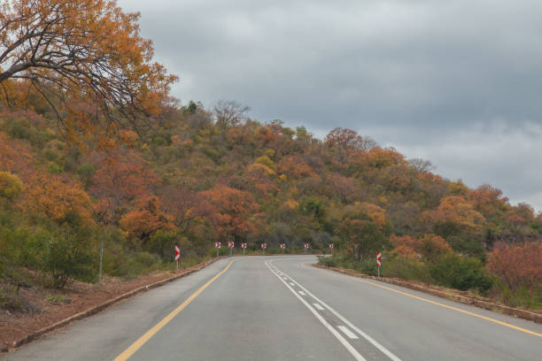 autumn road at the Panoramaroute, Mpumalanga Province, South Africa