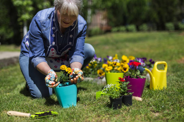 istock Mature woman nurturing plants 1125965895