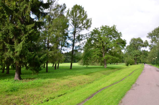 fragment of a nature corner in the kadriorg park in the city of tallinn, estonia. - indescribable imagens e fotografias de stock