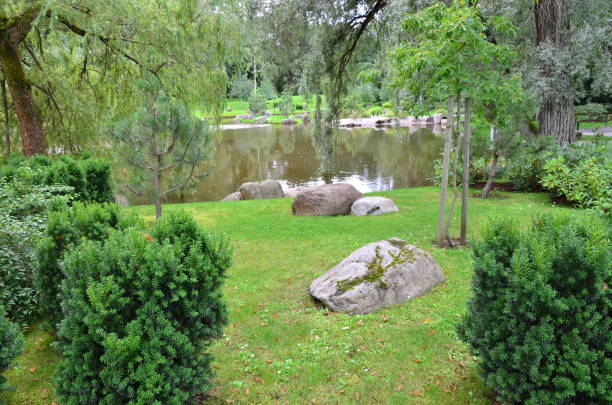 fragment of a nature corner in the kadriorg park in the city of tallinn, estonia. - indescribable imagens e fotografias de stock