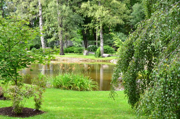 fragment of a nature corner in the kadriorg park in the city of tallinn, estonia. - indescribable imagens e fotografias de stock