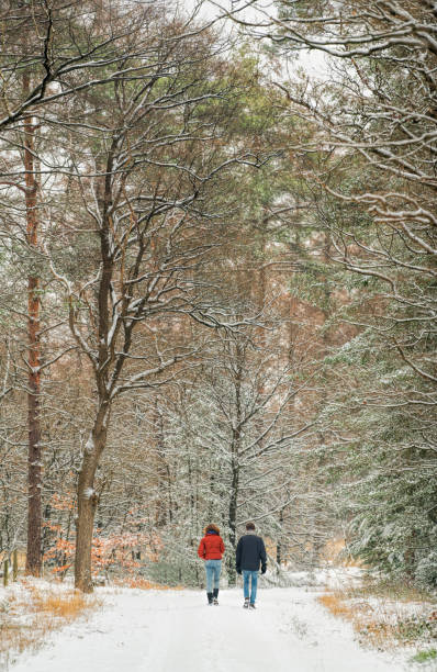 istock Rear view on mature couple walking on snowy footpath through forest in winter 1125968728