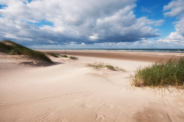istock Grass and sand dunes on the beach, Egmond, the Netherlands 1125970121