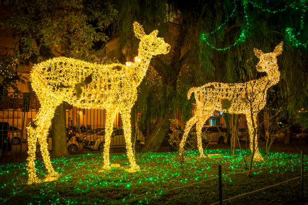 le incredibili luci dell'artista (luci d'artista) a salerno durante il periodo natalizio. campania, italia. - salerno foto e immagini stock