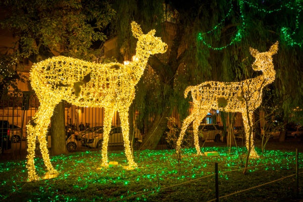 サレルノではクリスマスの時期に素晴らしいアーティストのライト (luci d'artista)。カンパニア州、イタリア。 - サレルノ ストックフォトと画像