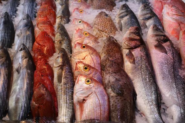 Fresh Fish and Seafood. Fishmongers Fish Market Fresh Fish on Ice at Fishmongers Market. Crabs, Shrimp, Fish. salmon and red snapper stock pictures, royalty-free photos & images