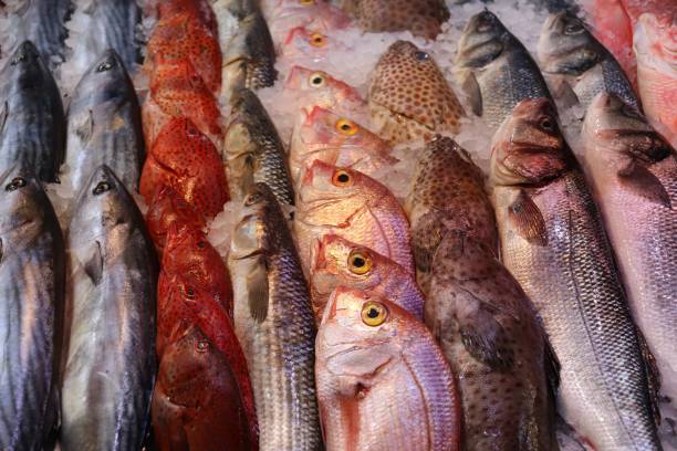 Fresh Fish and Seafood. Fishmongers Fish Market Fresh Fish on Ice at Fishmongers Market. Crabs, Shrimp, Fish. salmon and red snapper stock pictures, royalty-free photos & images