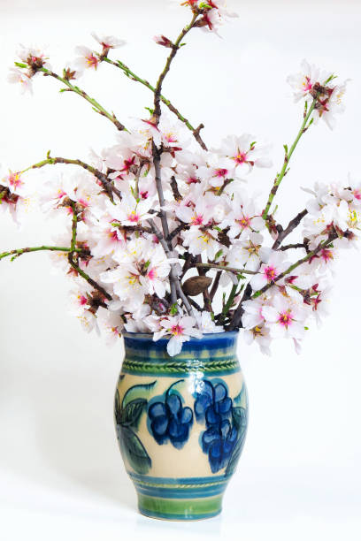 istock Blooming almonds on the branches in a vase 1125971710