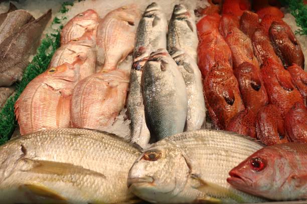 Fresh Fish and Seafood. Fishmongers Fish Market Fresh Fish on Ice at Fishmongers Market. Crabs, Shrimp, Fish. salmon and red snapper stock pictures, royalty-free photos & images