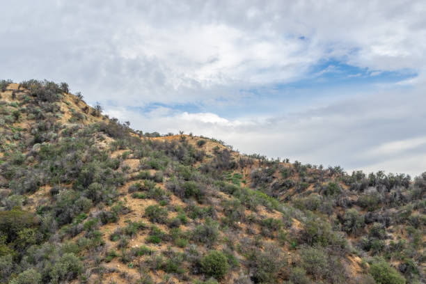 istock Winter sky in California 1125972072