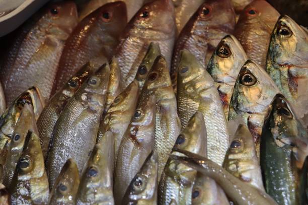 Fresh Fish and Seafood. Fishmongers Fish Market Fresh Fish on Ice at Fishmongers Market. Crabs, Shrimp, Fish. salmon and red snapper stock pictures, royalty-free photos & images