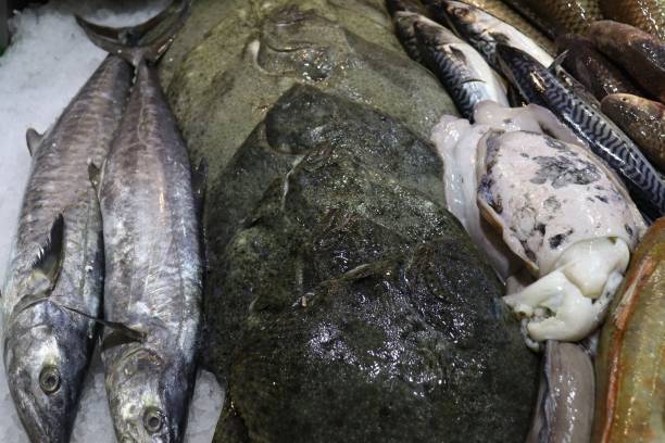 Fresh Fish and Seafood. Fishmongers Fish Market Fresh Fish on Ice at Fishmongers Market. Crabs, Shrimp, Fish. salmon and red snapper stock pictures, royalty-free photos & images