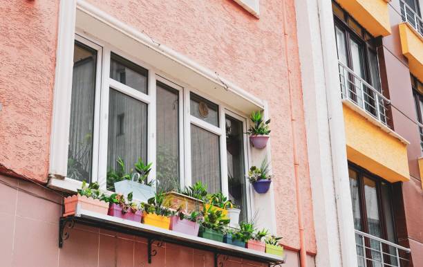istock Flowers hanging on a house 1125978819