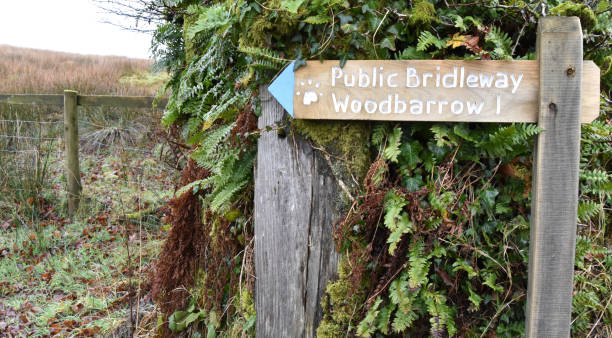 istock Bridleway sign on Exmoor National Park 1125979125