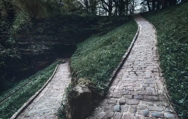 Photo of Park alley through gloomy nature and ruins