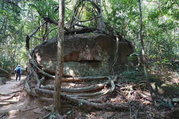 istock A steep mountain path towards Kbal Spean in Siem Reap, Cambodia 1125981877