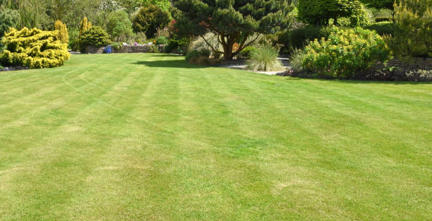 istock Perfect English country garden 1125983661