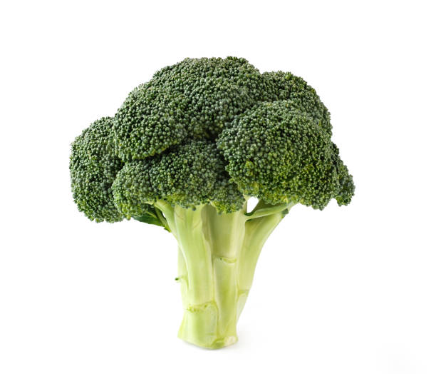 istock Broccoli  isolated.Raw food. 1125983909