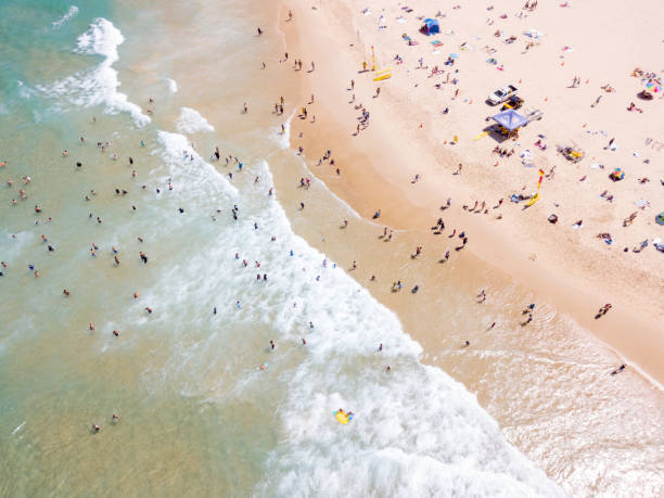 istock People sun baking and swimming at the beach 1125984936