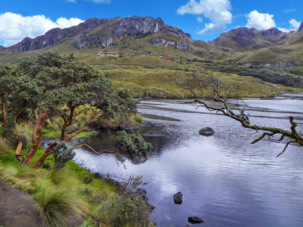 istock National Park El Cajas. Toreadora lake 1125988408