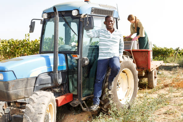 istock Worker posing near tractor at vineyard 1125990903