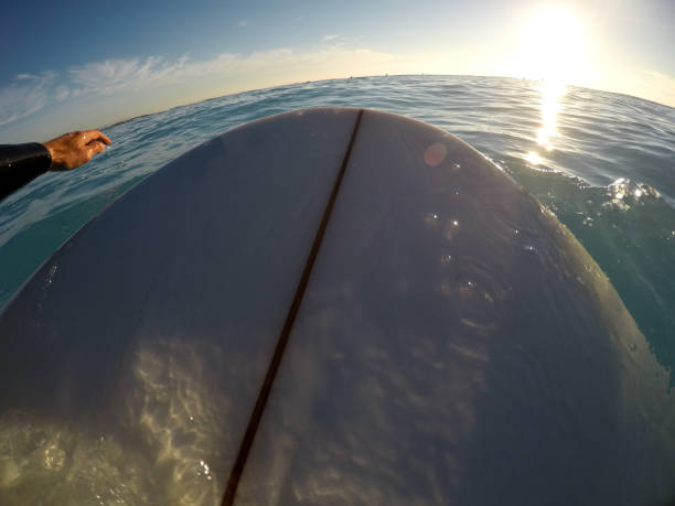 istock Man surfer paddling point of view 1125991288