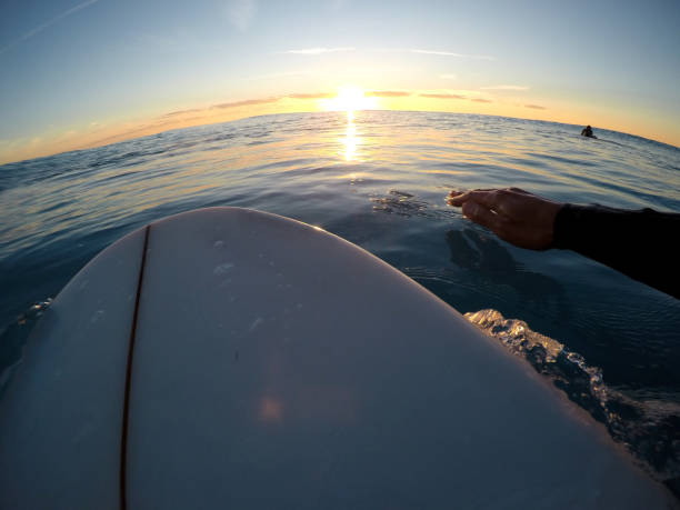 istock Man surfer paddling point of view 1125991417