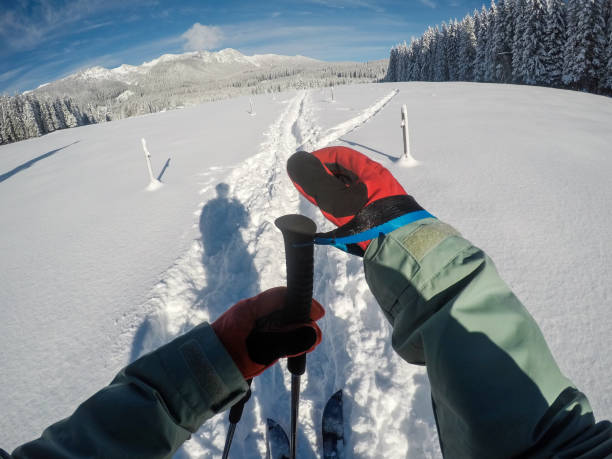 istock Back country skiing point of view 1125992876
