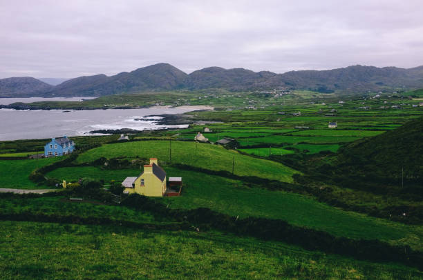 istock beautiful landscape with fields and sea view 1125993335