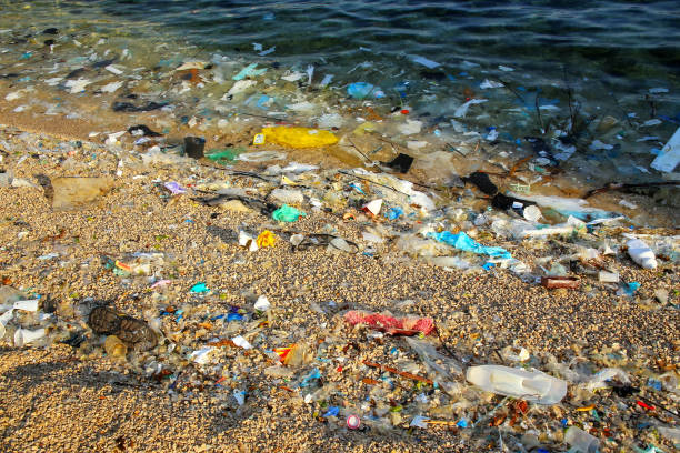 Beach polluted with plastic Beach polluted with plastic garbage croatian culture photos stock pictures, royalty-free photos & images