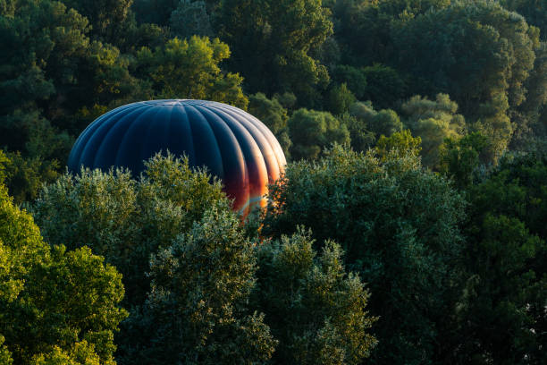 Hot air balloon flying between the trees in the woods