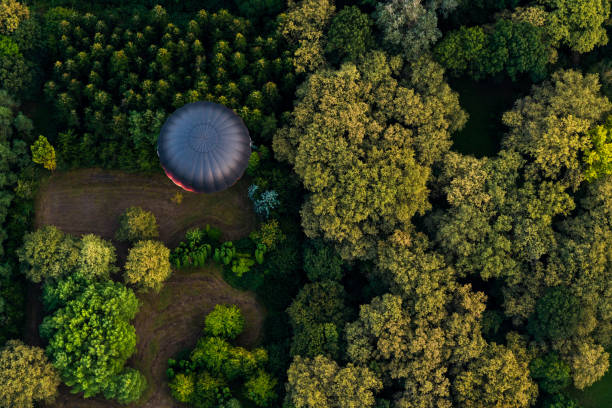Hot air balloon flying over woods