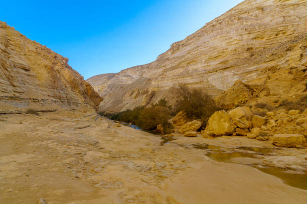 istock Canyon of Ein Avdat National Park, the Negev Desert 1126000610