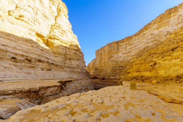 istock Canyon of Ein Avdat National Park, the Negev Desert 1126000678