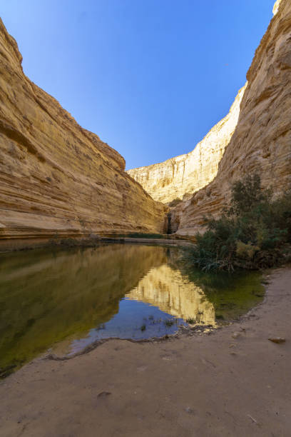 istock Canyon of Ein Avdat National Park, the Negev Desert 1126000752