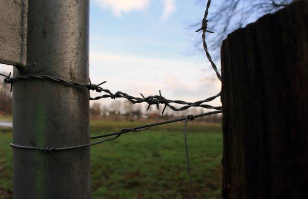 istock Barbed wire on the fence post 1126005127