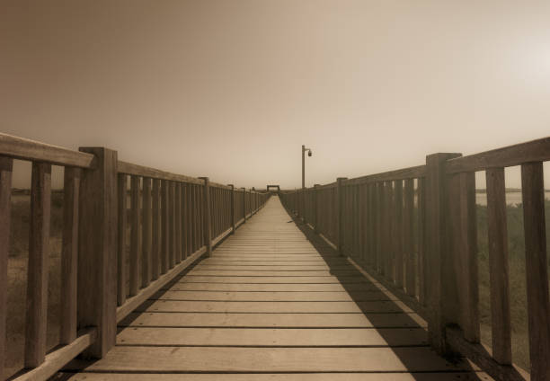 Sepia stairs leading to a path.