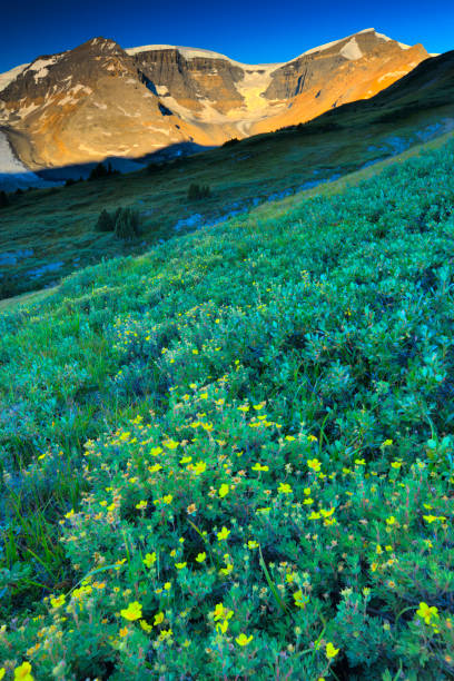 istock Jasper National Park in Alberta Canada 1126010032