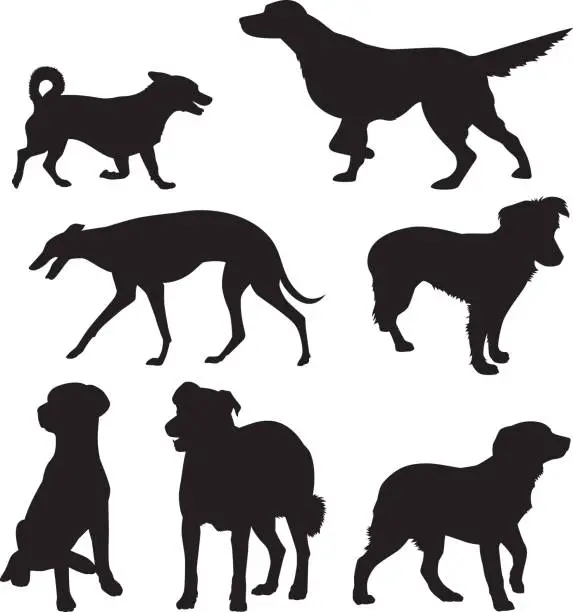 Vector illustration of Dog Silhouettes 10